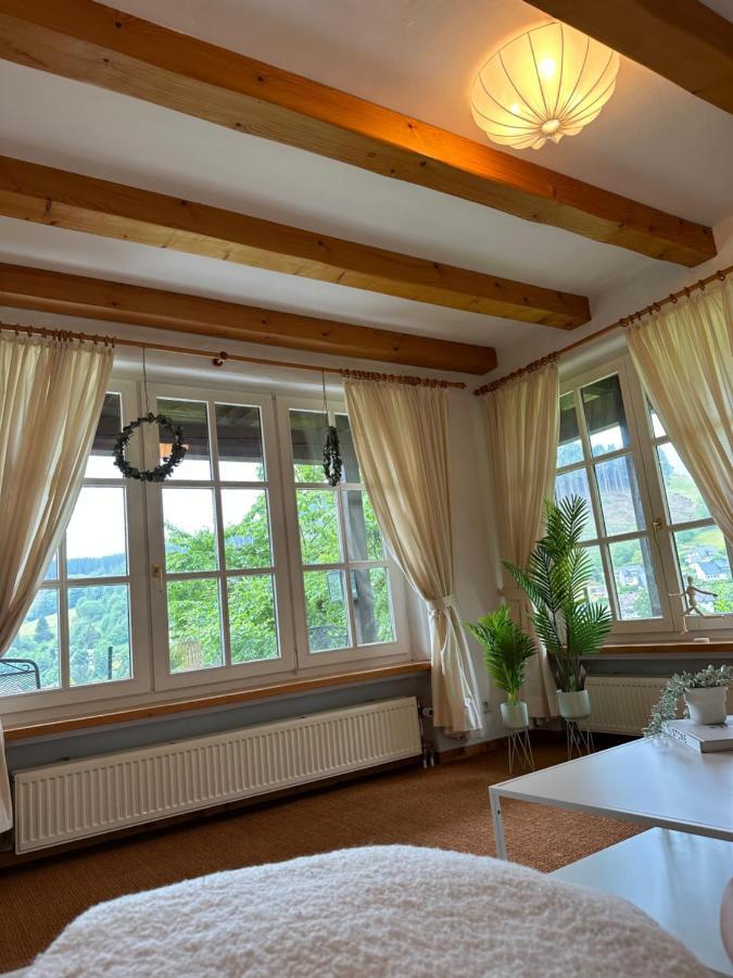 Urlaubsschmiede Winterbergアパートメント エクステリア 写真